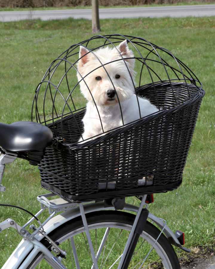Bedste Cykelkurv Hund - 5 Hundecykelkurve Til Cykelturen