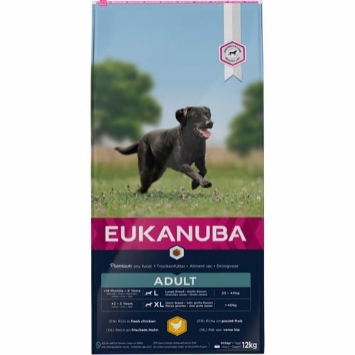 junk slim Uluru Bedste Glucosamin Til Hund - 8 Tilskud Til Hunde Med Ledproblemer